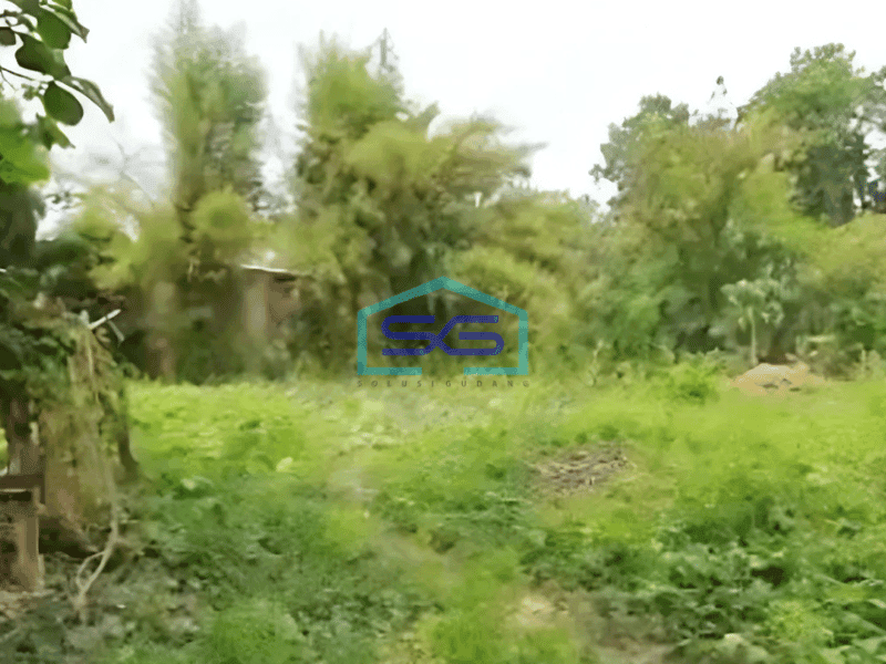 Disewa Kavling Luas di Tangerang