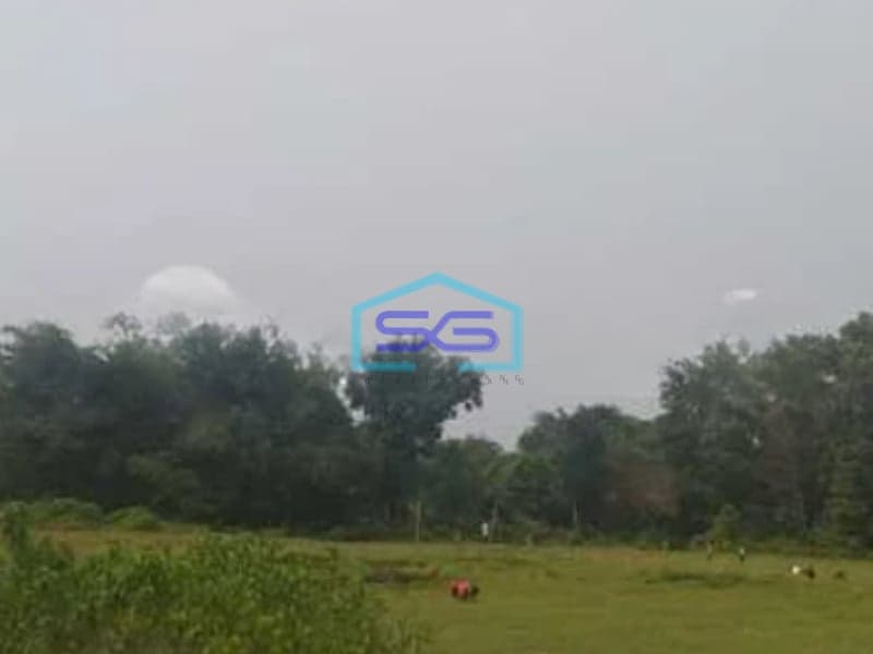 Dijual Tanah Darat Luas 2,5 Ha Di Mekarsari Daru Jambe Tangerang Luas Tanah  25405 m²