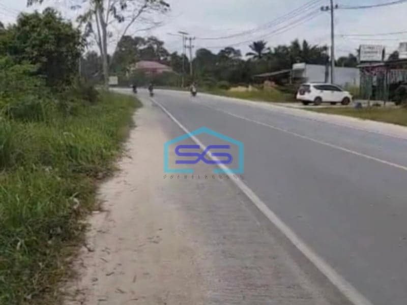 Dijual Luas Tanah 1 Hektar di Kandis Siak Riau Dekat ke Tol