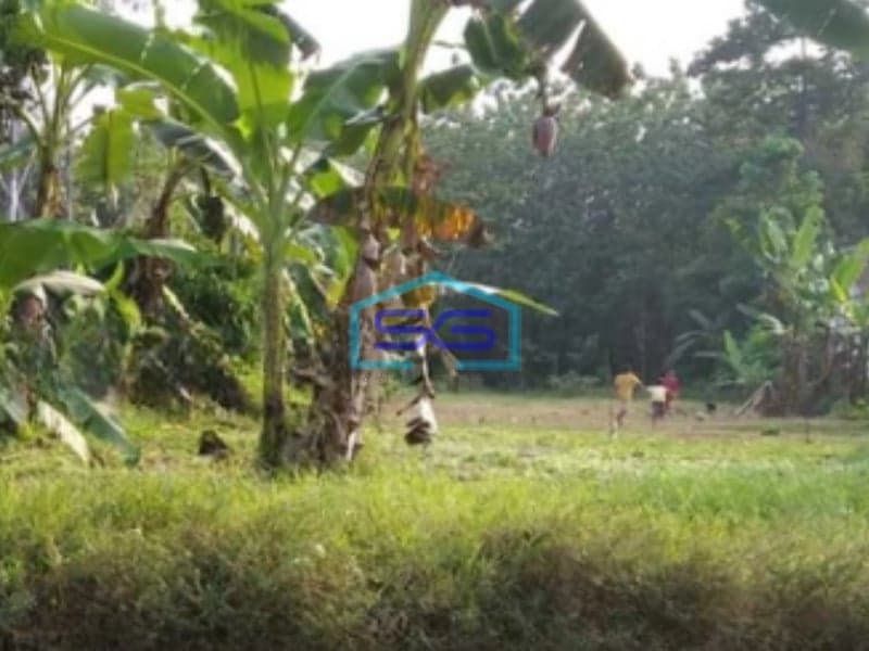 Dijual Tanah Strategis Siap Bangun di Jalan Raya Muntal Boja Kaliwungu Semarang LT 1278m2