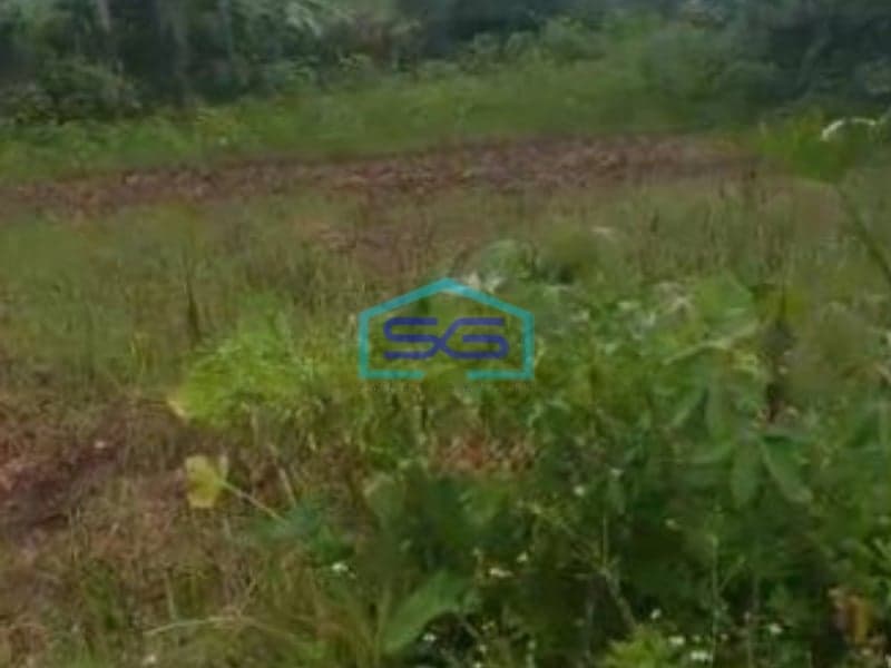 Dijual Tanah di Tigaraksa Tangerang Luas Tanah 3320 m²