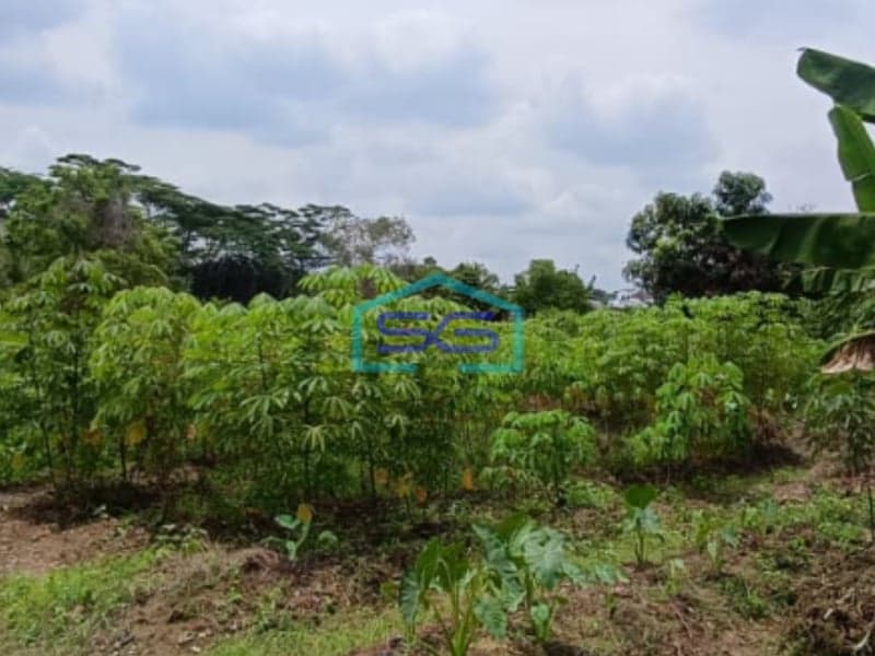 Dijual Tanah Lokasi Strategis di Palembang Sumatera Selatan Luas 3440m2