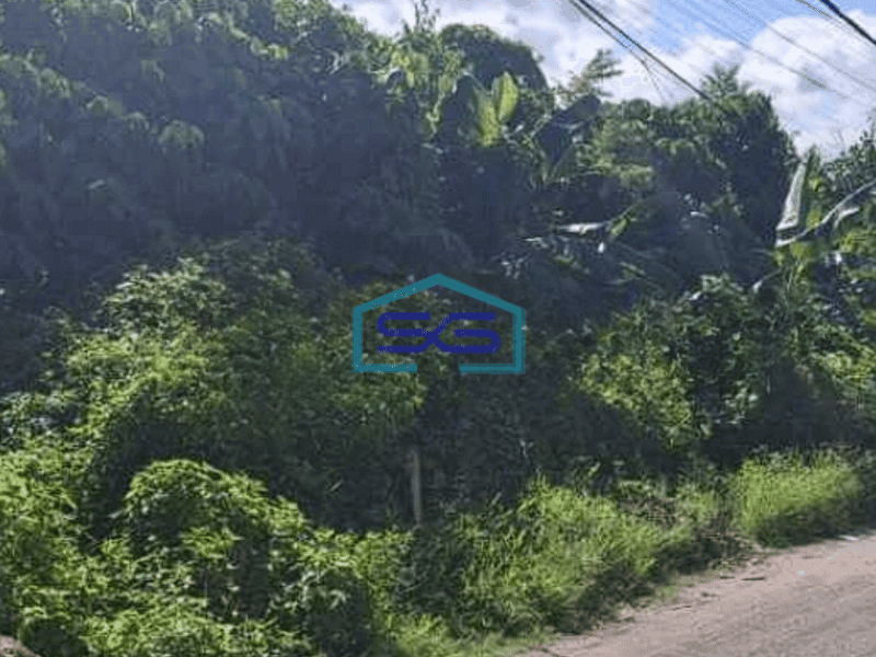 Disewakan Tanah Gudang Manufaktur Dekat Kerobokan Badung Bali Denpasar Luas 20000m2