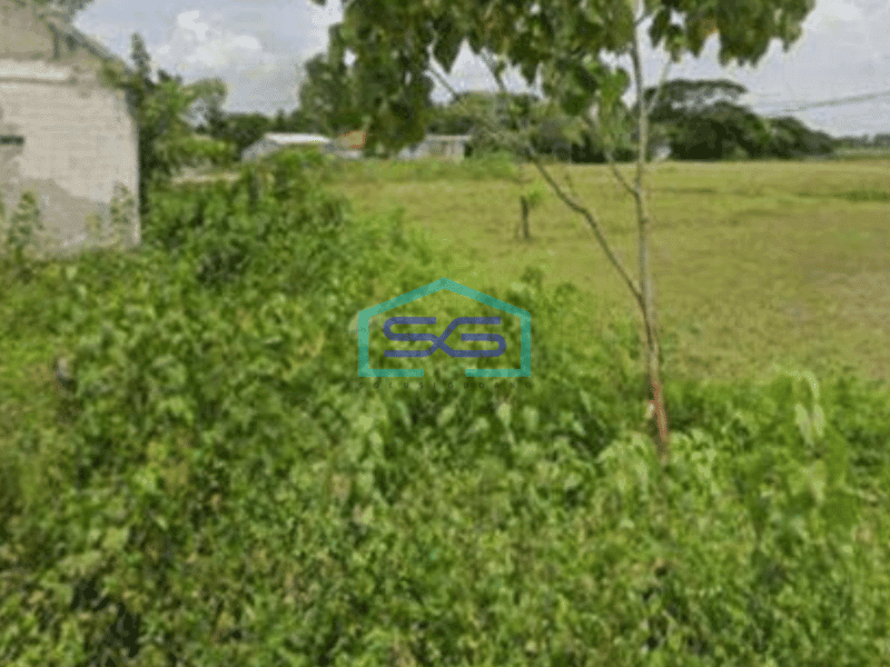 Dijual Tanah di Pasar Kemis 1000 HGB