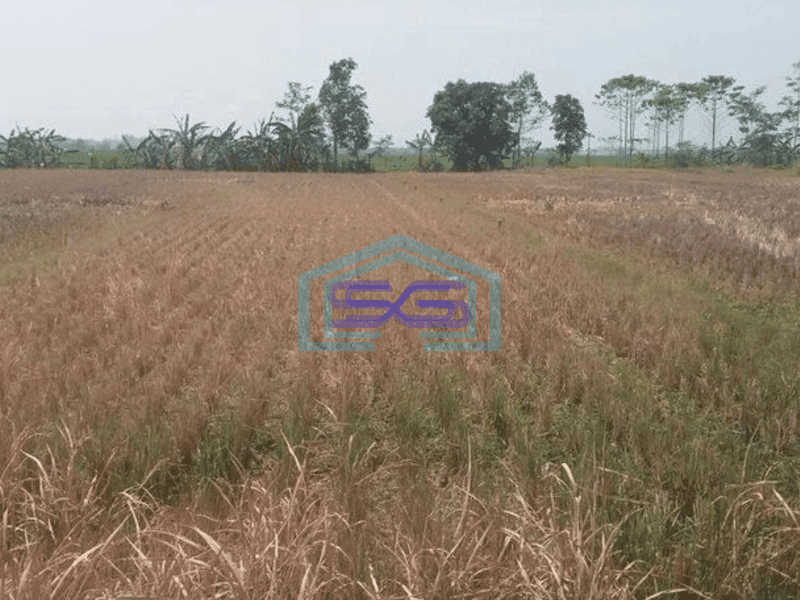 Dijual tanah mainroad jln raya cipatik soreang