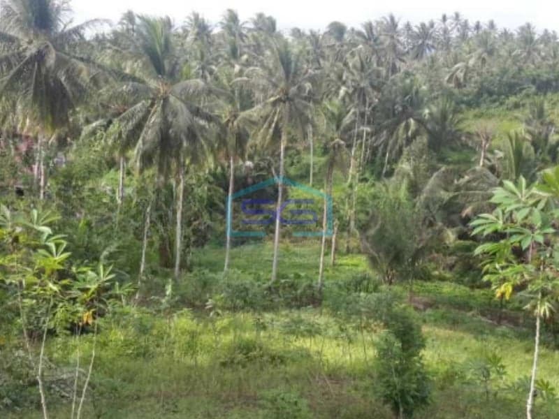 Dijual Tanah Di Samping Hotel Ndc Molas Di Tuminting, Manado Luas Tanah (PxL)  50000 m²