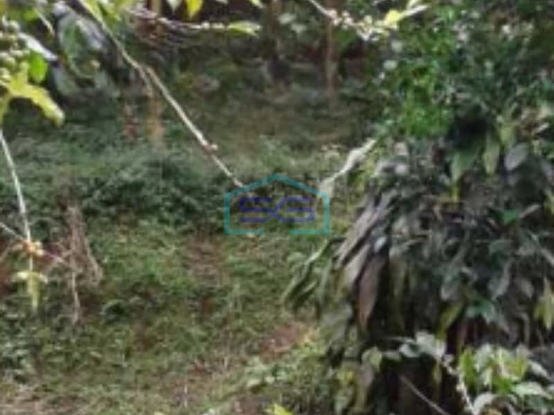 Dijual Tanah Luas 6700 m² Lokasi di Ciwidey Bandung