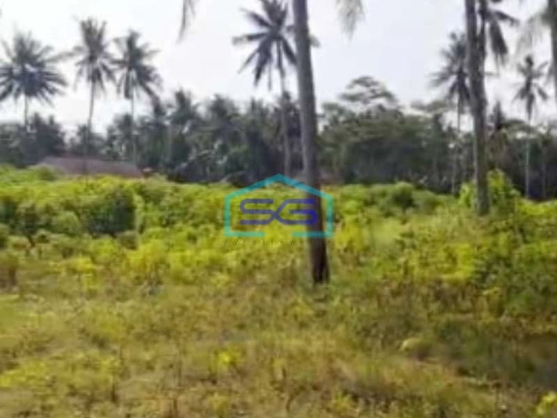 Dijual Tanah Pekarangan Lokasi Pengasih Yogyakarta Luas 10320m2