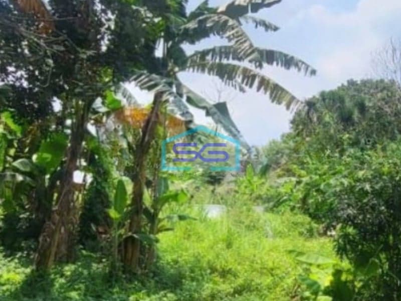 Dijual Murah Tanah Lokasidi Jl. Buaran Kec Serpong Ciater Tangerang LT 17702m2