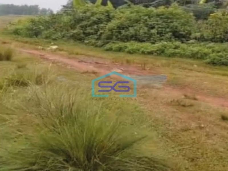 Dijual Tanah Cocok Untuk Investasi Di Tigaraksa Tangerang Luas 50 Ha