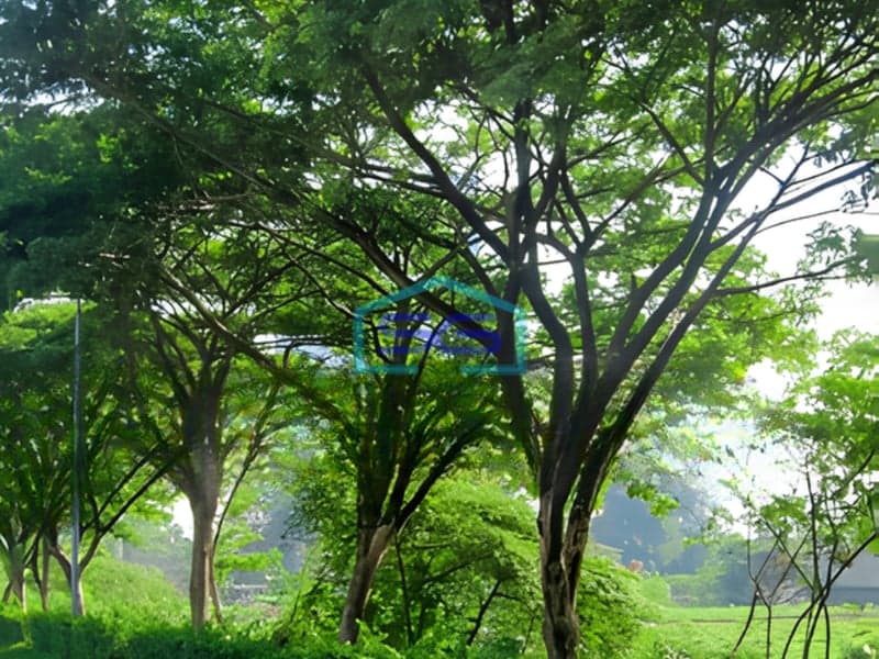 Disewakan Tanah Lokasi Bebas Banjir Luas  2970 m² di Jakarta Barat