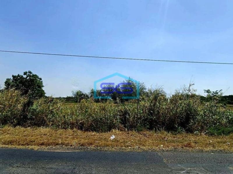 Dijual Tanah Murah Bebas Banjir Cocok Untuk Gudang Di Jln Raya Benjeng Gresik LT 5150m2