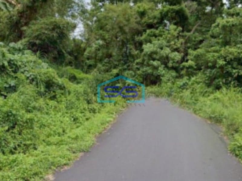 Dijual Tanah 10~20 H Di Pandu Cocok Buat Kantor Gudang Mapanget, Manado Luas Tanah (PxL)  110000 m²