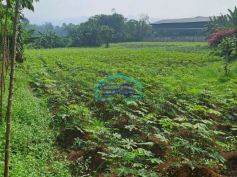Dijual Tanah di Jalan Raya Rancabungur Bogor Luas Tanah 12000m2