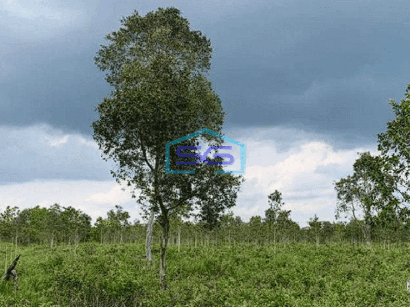 Dijual Tanah Siap Bangun di Jalan Tanah Mas, Talang Kelapa, Palembang LT 25000m2