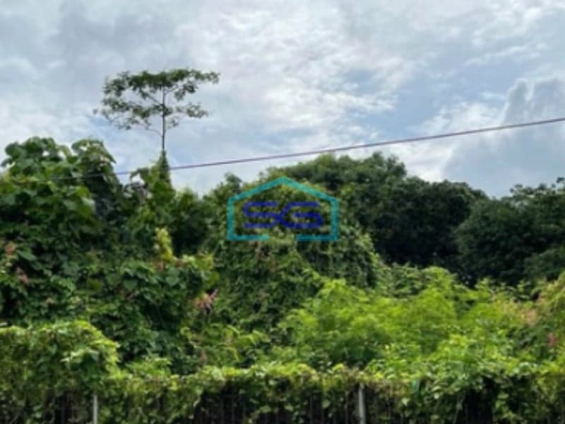 Disewakan Tanah Strategis di Jangli Raya Lebar 40 Meter Semarang LT 2700m2