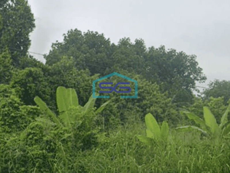 Dijual Tanah Luas  di, Jl. Sriwijaya Raya, Indralaya, Ogan Ilir Sumatera Selatan LT 18.300m2