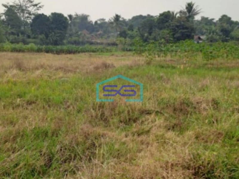 Dijual Tanah Kontur Datar Kemang Pabuaran Bogor Luas Tanah 30000m2