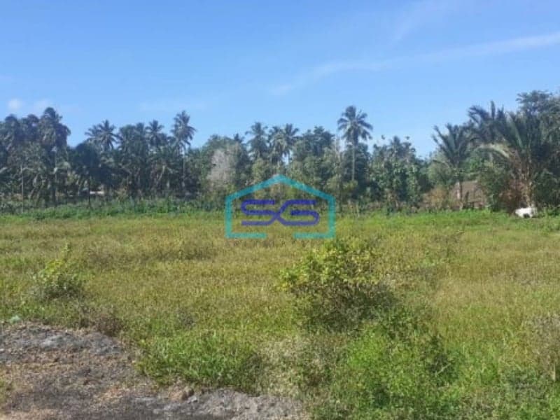 Dijual Tanah di Belakang Pabrik Coca Cola Kauditan Pas For Pabrik Kauditan, Minahasa Utara Luas Tanah 35000m2