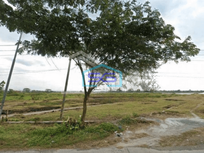 Dijual Tanah di Onggorawe Sayung Demak Luas Tanah 3074m2