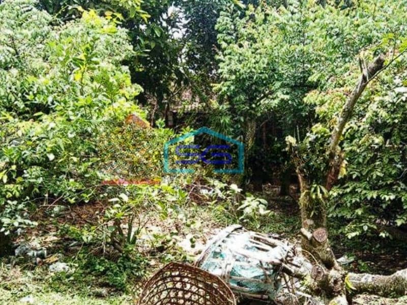 Dijual Tanah di Bumiaji Batu Luas Tanah 3081m2