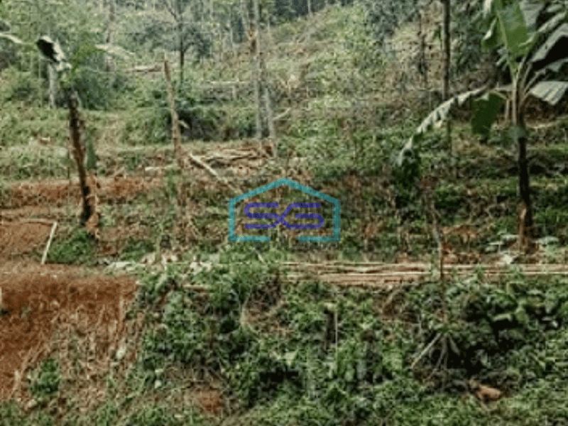 Dijual Tanah di Jalan Lintas Leuwiliang Bogor Luas Tanah 2150m2