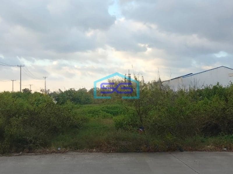 Disewakan Tanah Di Pattene Maros 10000M² Makassar SHM - Sertifikat Hak Milik