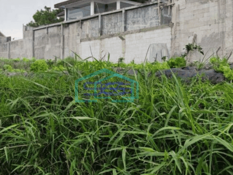 Dijual Kavling Sangat Bagus Dan Luas Kecil di Setiabudi Regency