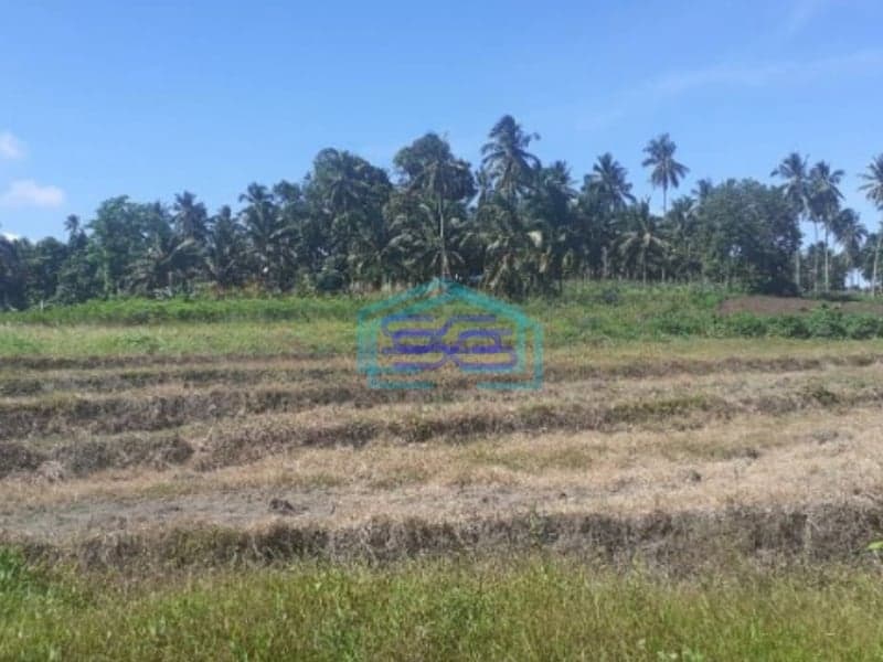 Dijual Tanah di Belakang Pabrik Coca Cola Kauditan Pas For Pabrik Kauditan, Minahasa Utara Luas Tanah 35000m2