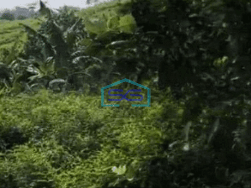 Dijual Tanah Lokasi di Halambang Sentul Bogor Luas 100Ha