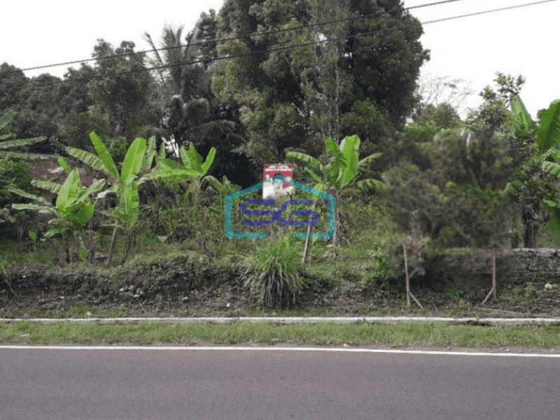 Dijual Tanah Kebun Murah di Desa Ciseutik Dekat Tugu Cagak Subang LT 3110m2