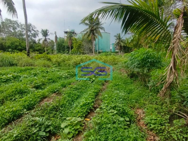 Dijual Strategis! Lahan Tanah di Samping Pabrik Talang Kelapa Banyuasin Sumatera Selatan LT 1 Ha