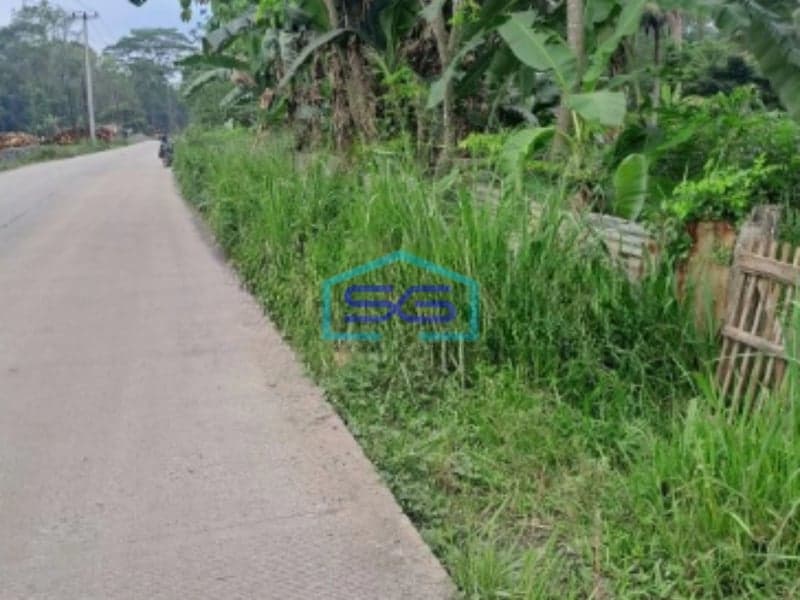 Dijual Tanah Jalan Parung Panjang Rumpin Bogor Luas Tanah 15000m2