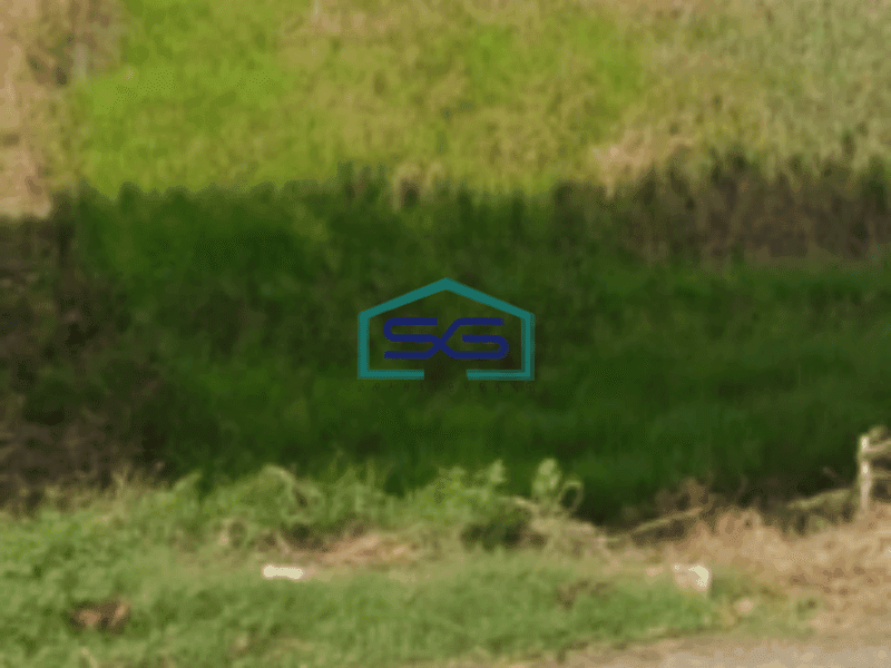 Dijual Tanah Bagus Di Lokasi Strategis Daerah Lohbener Indramayu