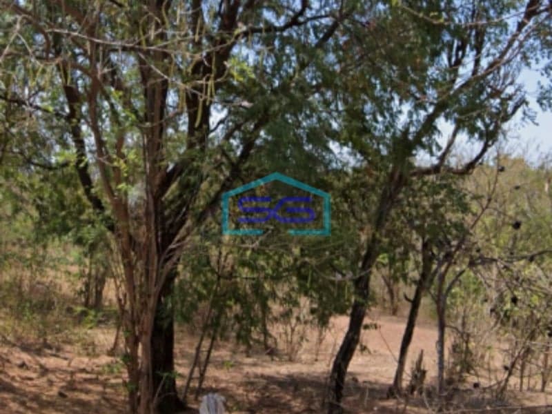 Dijual Cepat Tanah di Buleleng Bali Luas Tanah 92500m2