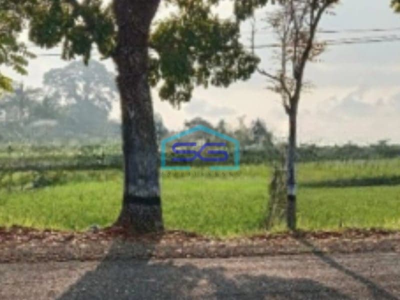 Dijual Tanah SHM Luas 8530m² Area Strategis di Baturaden Banyumas