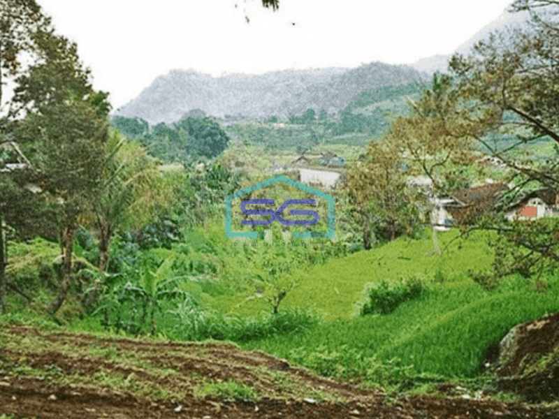 Dijual Lahan Tanah di Trawas Mojokerto LT 3101m2