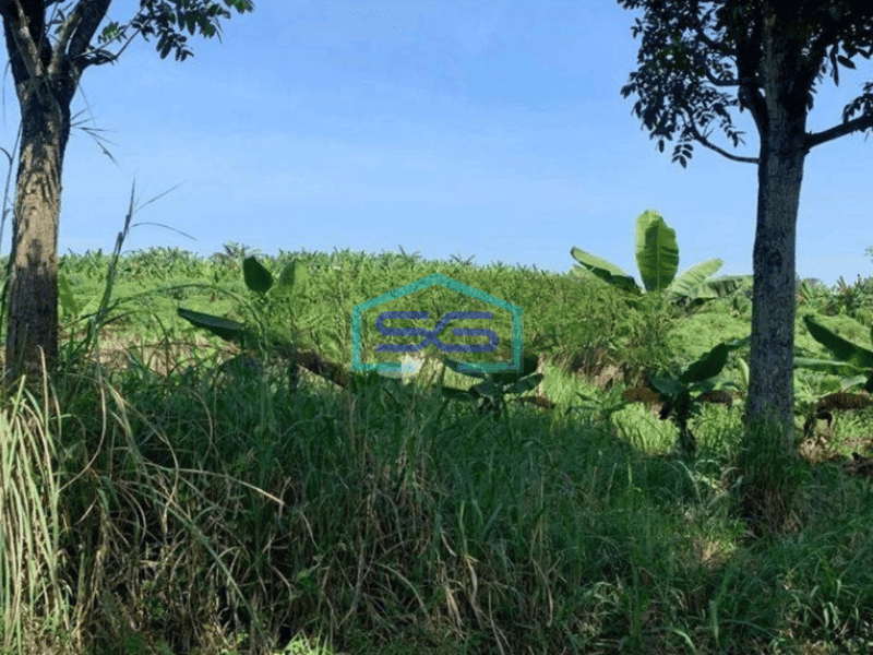 Dijual Tanah di Cibinong Hilir Cianjur LT 68000m2
