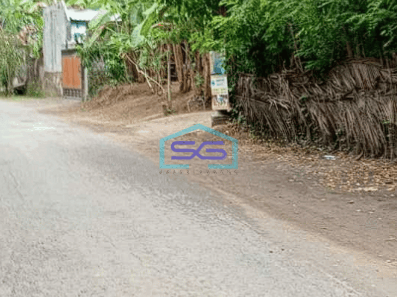 Disewakan Tanah Komersial Di Sengkidu Karangasem Bali Luas Tanah 2600m2