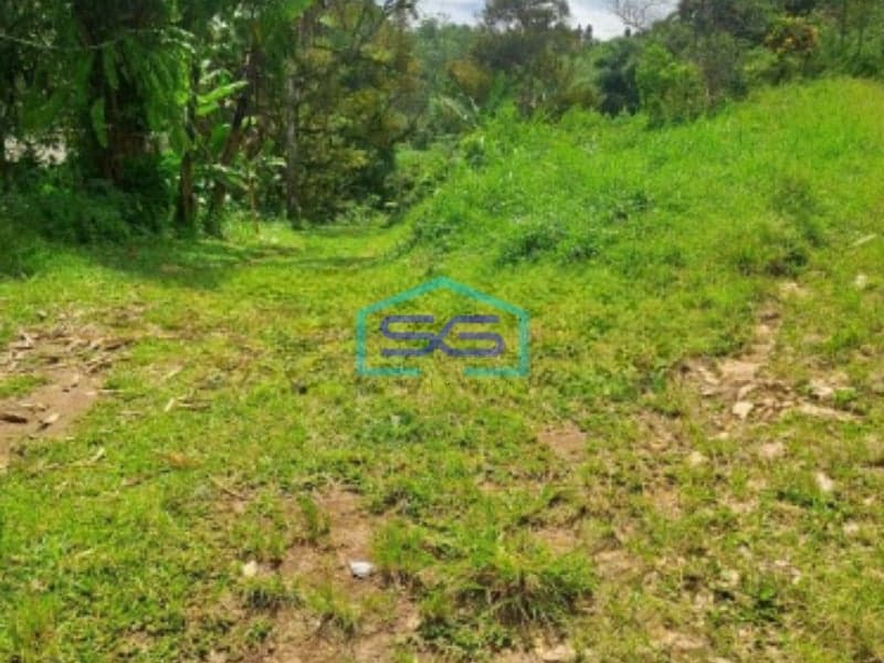 Dijual Tanah di Jalan Terobosan Cipayung Megamendung Bogor LT 120000m2