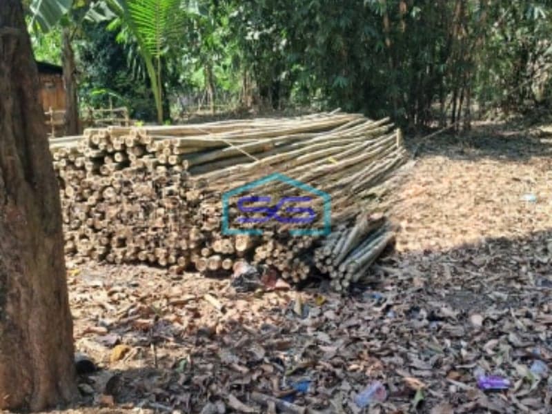 Dijual Tanah Di Rumpin Bogor Luas Tanah 1800m2