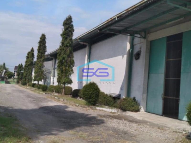 Disewakan Gudang Strategis kawasan industri di Sidoharjo Masaran Sragen LB 16000m2