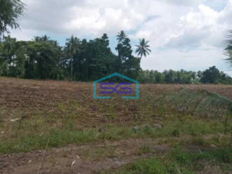 Dijual Tanah 16h Di Wusa Kawasan Wisata Alam Talawaan, Minahasa Utara Luas Tanah (PxL)  160000 m² (
