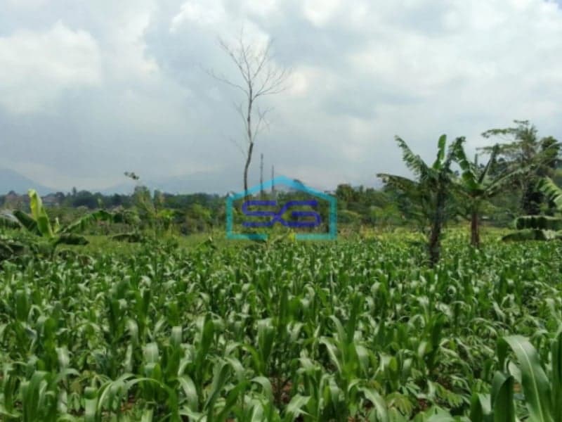 Dijual Tanah Dekat Pintu Tol Bocini Desa Ciambar Sukabumi Luas Tanah 40000m2