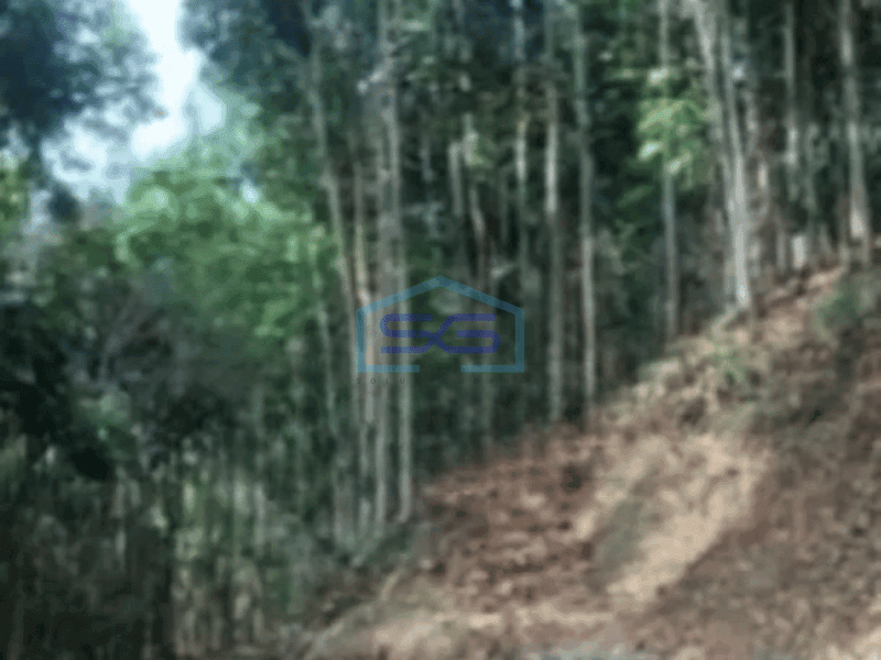 Dijual Tanah di Mekar Wangi Bandung Luas 50000m²