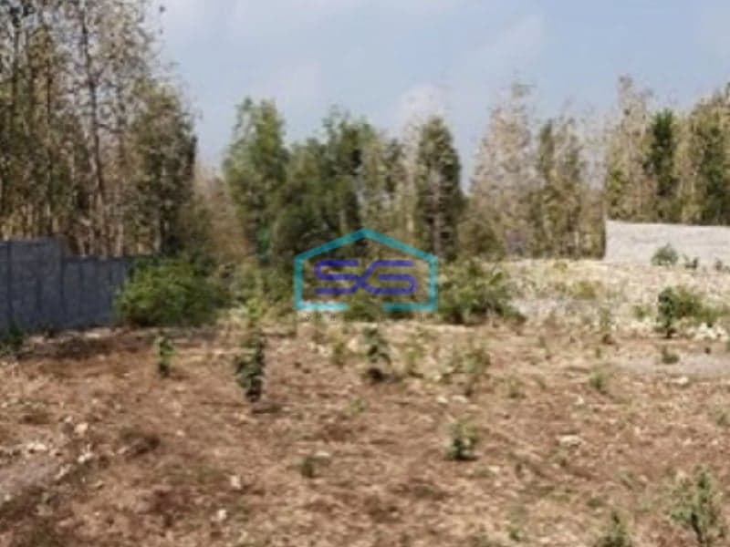 Dijual Tanah Pekarangan Luas 9.076 M2 Sentolo Kulon Progo Jogja