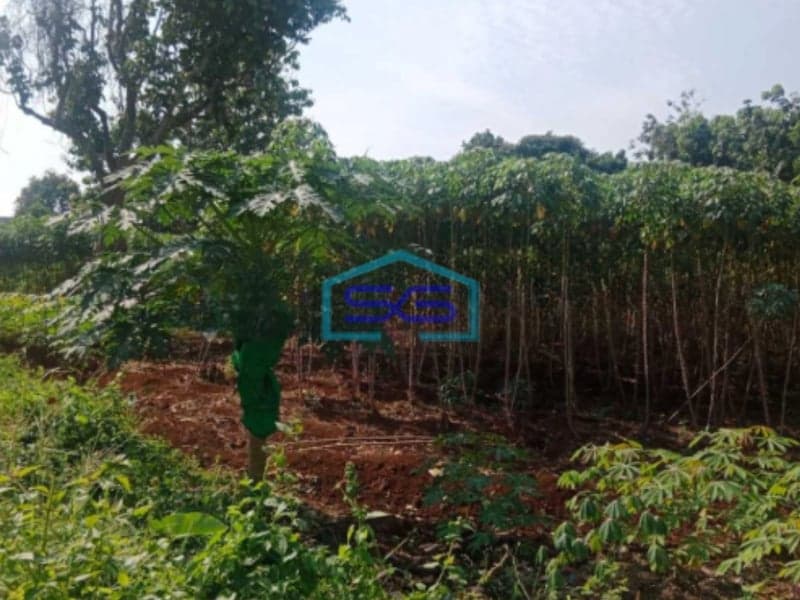 Dijual Tanah Kavling Cocok Untuk Pergudangan Gunung Sindur Bogor LT 3300m2