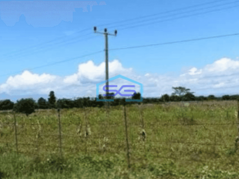 Dijual Tanah Kertajati Desa Kertasari Blok Karet Luas Tanah 4622m2