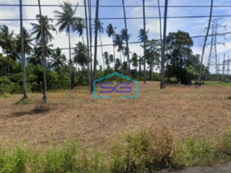 Dijual Tanah 2,5 H Dekat PLN Tanjung Merah Bitung Cocok Buat Gudang Matuari, Bitung Luas Tanah (PxL)  25000 m²