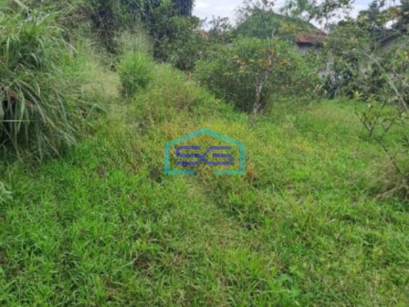 Dijual Tanah Di Gunung Sindur Bogor Luas Tanah 8000m2